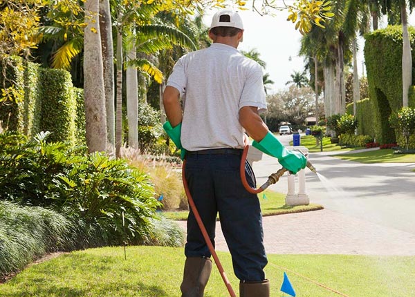 About Holbrook ID Pest Control Pros